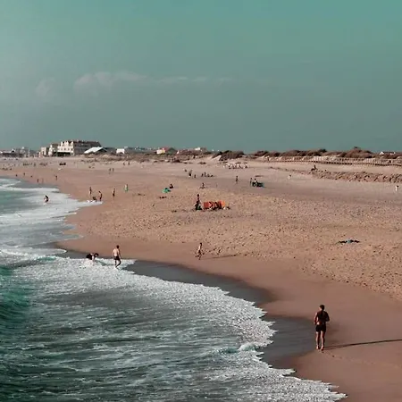 Moradia Entre O Mar E A Ria Holiday home