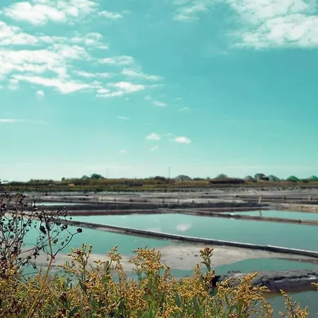 Moradia Entre O Mar E A Ria Дом отдыха Гафанья-да-Назарэ
