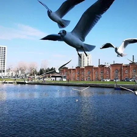 Дом отдыха Moradia Entre O Mar E A Ria *