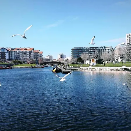 Moradia Entre O Mar E A Ria * Гафанья-да-Назарэ