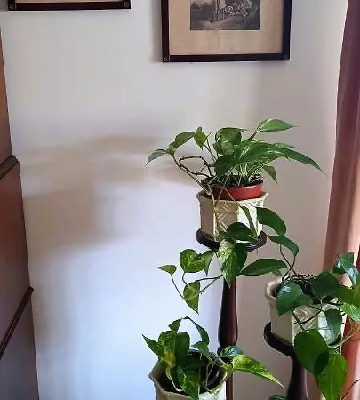 Moradia Entre O Mar E A Ria