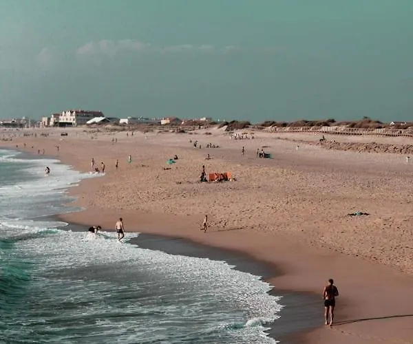 Moradia Entre O Mar E A Ria 度假居