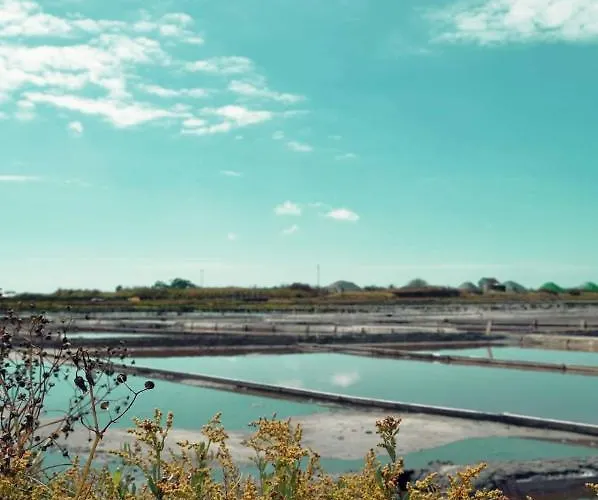 Moradia Entre O Mar E A Ria 度假居 噶凡哈达纳扎雷