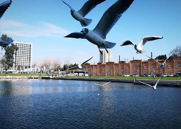 度假居 Moradia Entre O Mar E A Ria *